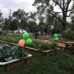 balloons gardens vegetables picnic harvest party