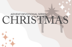 Advent 05 christmas