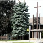 Trinity Lutheran Spec article