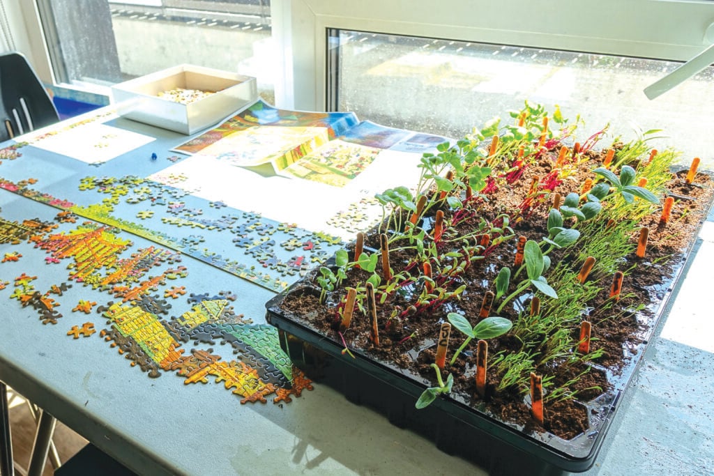 Gardening