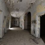 Image 2025 08 18 at 12.01 pm