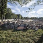 Image 2025 12 10 at 2.42 PM