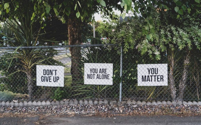 dan-meyers-hluOJZjLVXc-unsplash (Medium) dan-meyers-hluOJZjLVXc-unsplash (Medium)